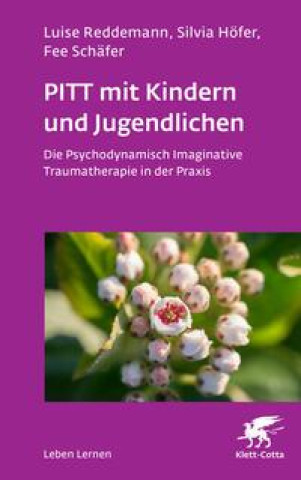 Kniha PITT mit Kindern und Jugendlichen (Leben Lernen, Bd. 339) Silvia Höfer
