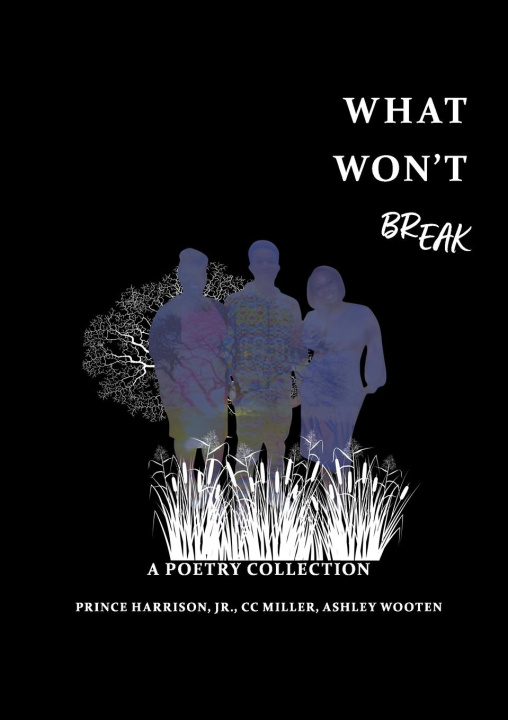 Knjiga What Won't BREAK Cc Miller