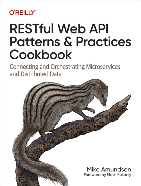 E-book RESTful Web API Patterns and Practices Cookbook Mike Amundsen