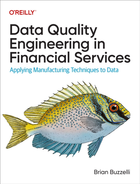 E-knjiga Data Quality Engineering in Financial Services Brian Buzzelli