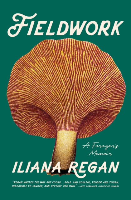 E-knjiga Fieldwork Iliana Regan