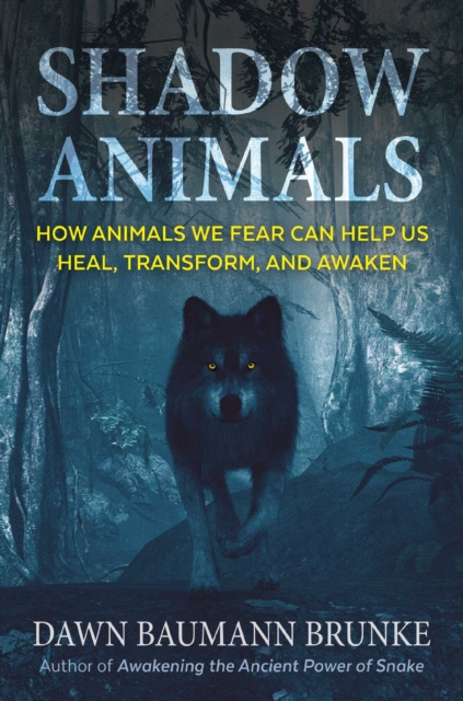 E-book Shadow Animals Dawn Baumann Brunke