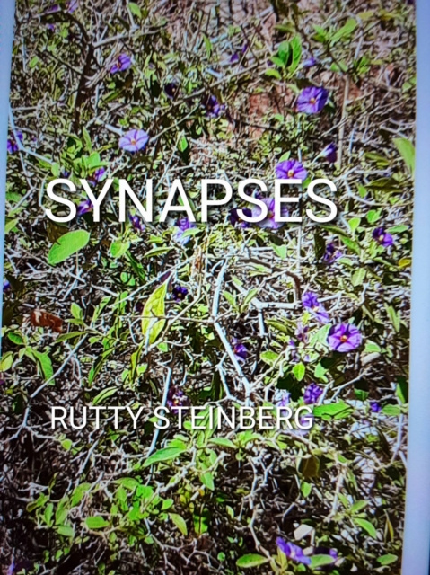 E-knjiga Synapses Rutty Steinberg