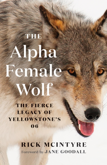 E-book Alpha Female Wolf Rick McIntyre