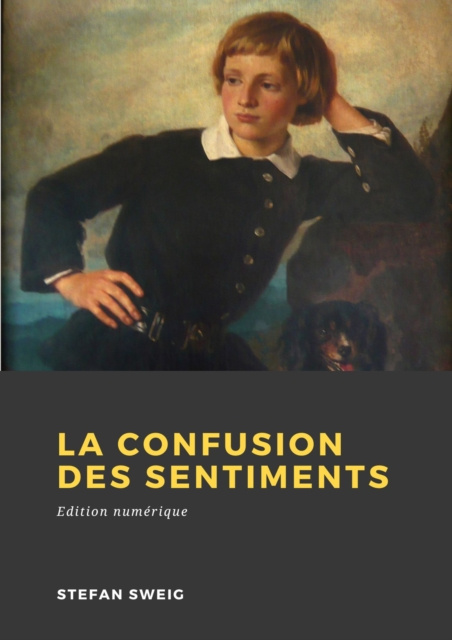 E-book La Confusion des sentiments Stefan Zweig
