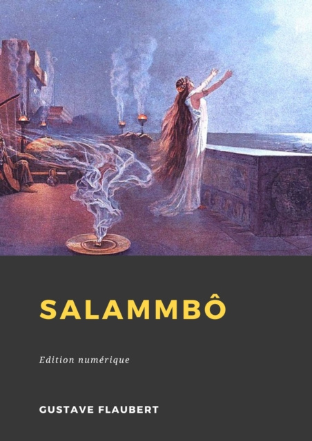 E-book Salammbo Gustave Flaubert