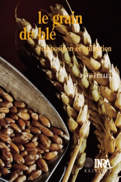 E-book Le grain de ble Pierre Feillet