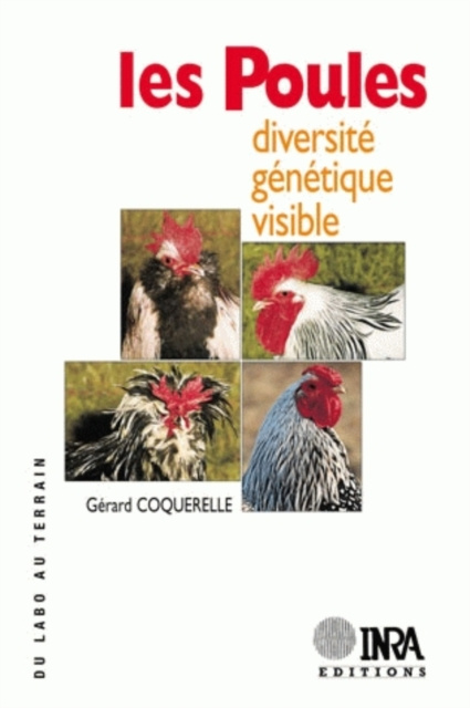 E-kniha Les poules Gerard Coquerelle