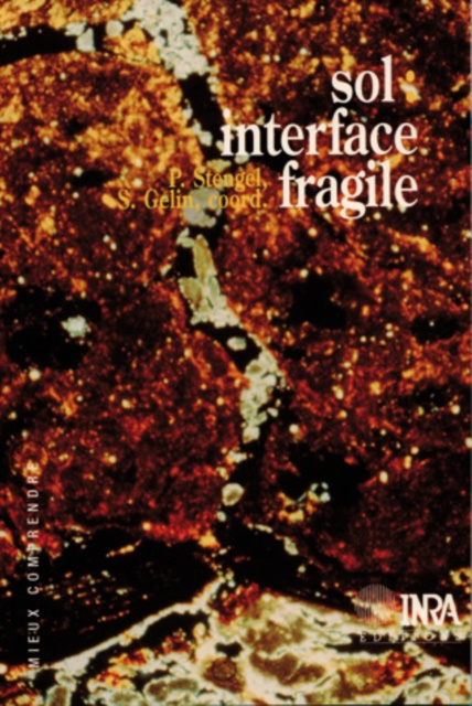 E-kniha Sol : interface fragile Pierre Stengel