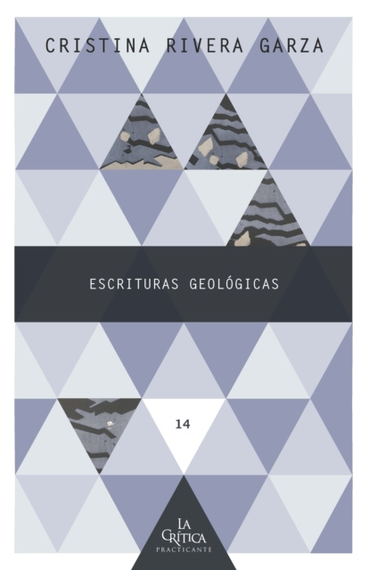 E-Book Escrituras geologicas Cristina Rivera Garza