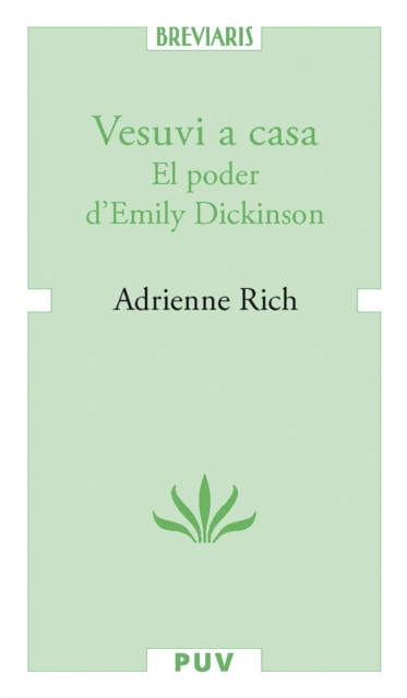 E-kniha Vesuvi a casa Adrienne Rich