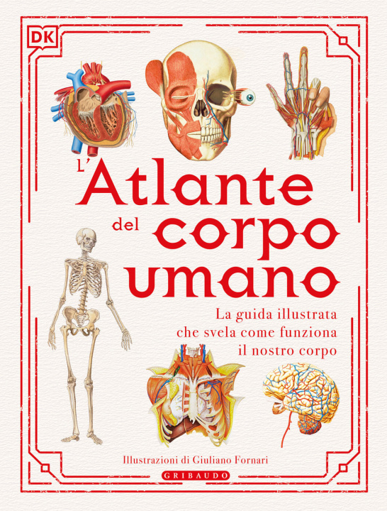 Kniha atlante del corpo umano 