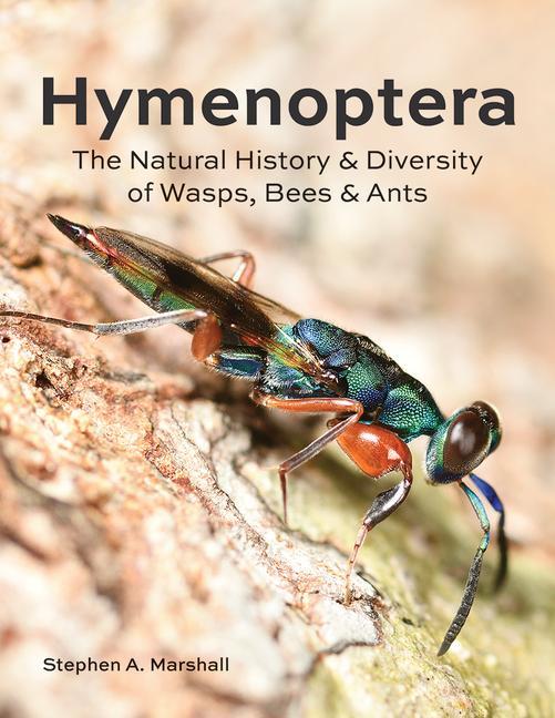 Kniha Hymenoptera 
