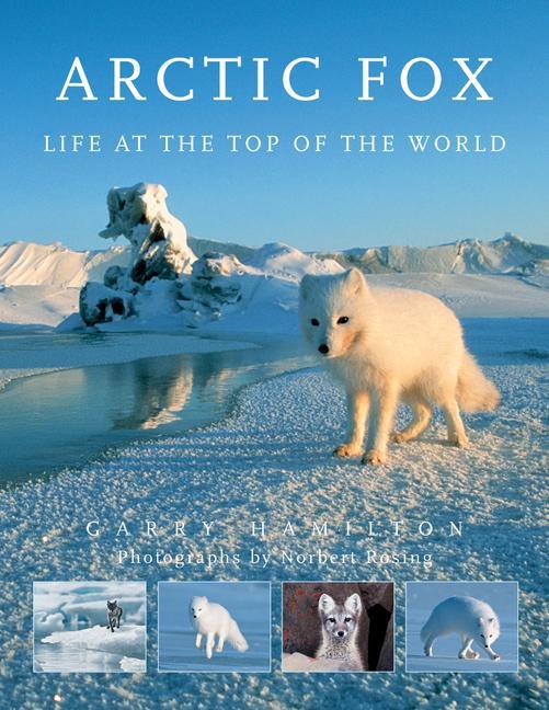 Kniha Arctic Fox Norbert Rosing