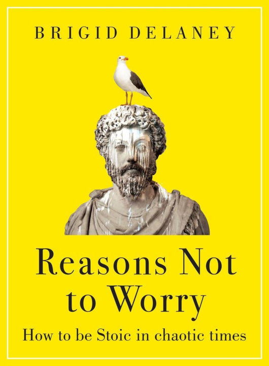 Kniha Reasons Not to Worry 