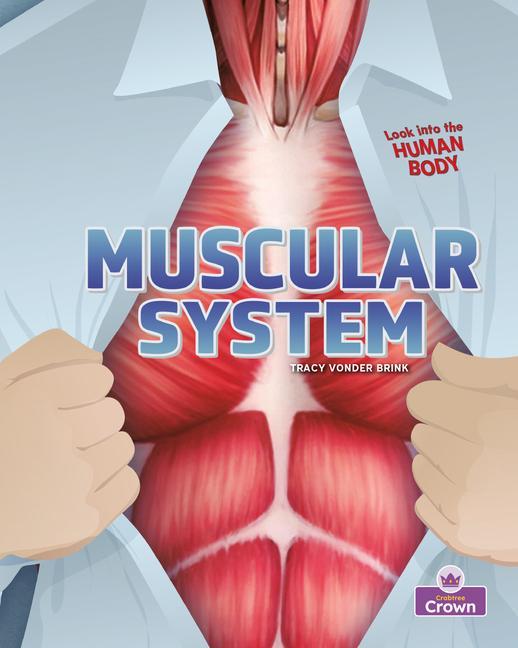 Knjiga Muscular System 