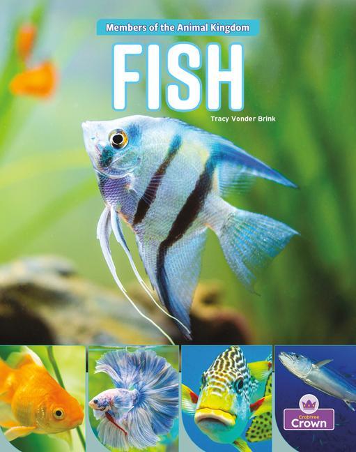 Book Fish 