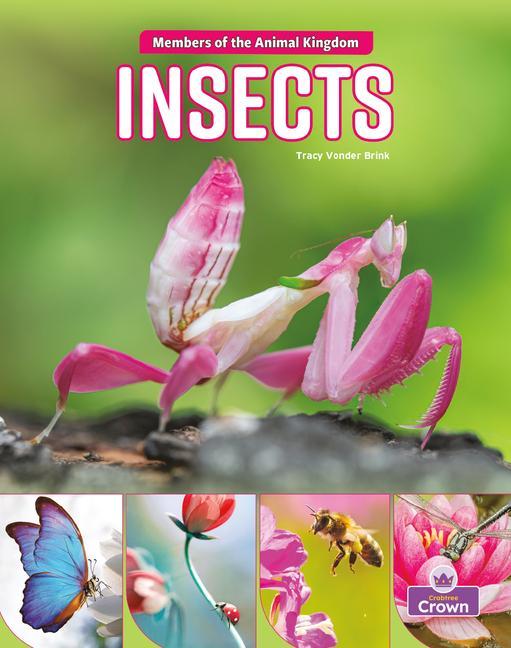 Knjiga Insects 