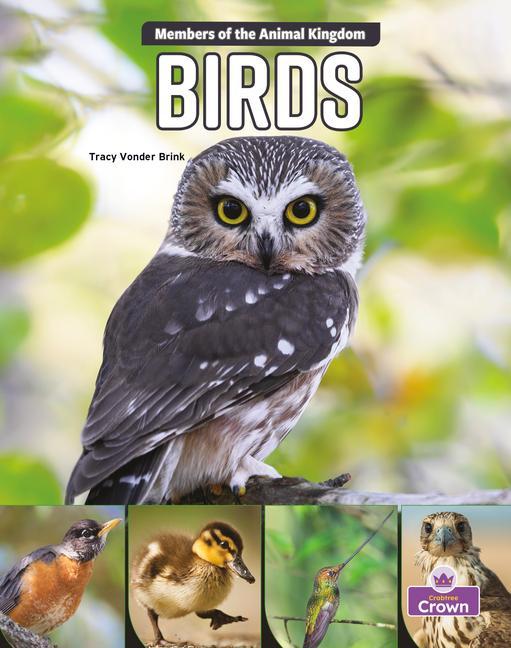 Knjiga Birds 