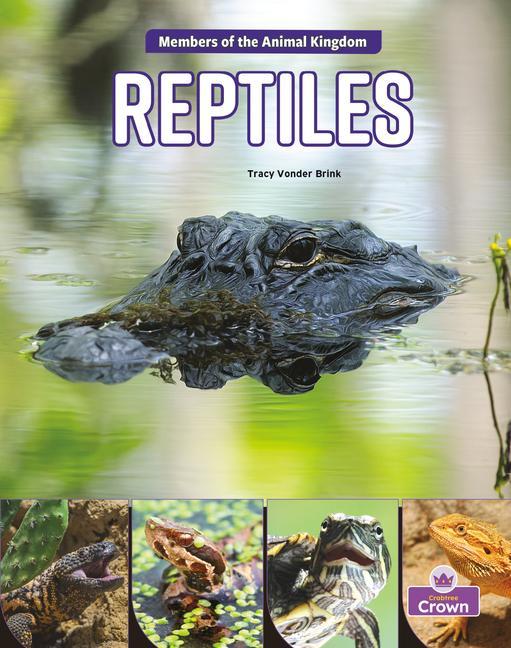 Buch Reptiles 