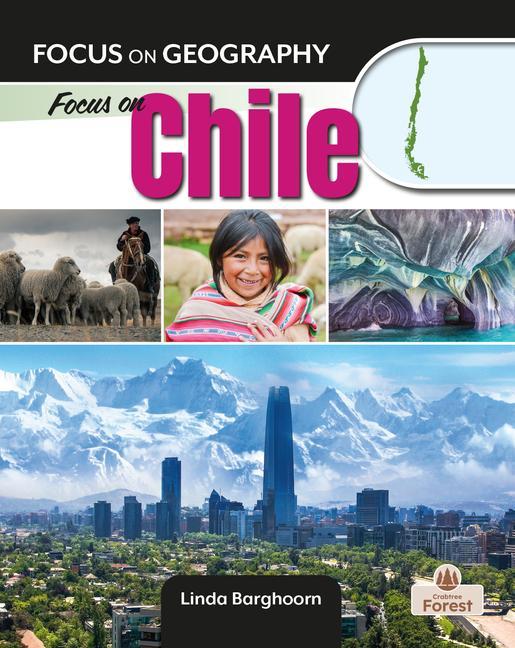 Buch Focus on Chile Linda Barghoorn