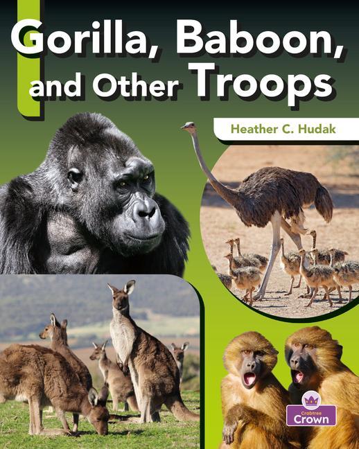 Knjiga Gorilla, Baboon, and Other Troops 