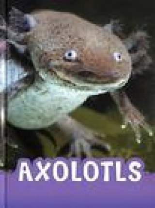Könyv Axolotls 