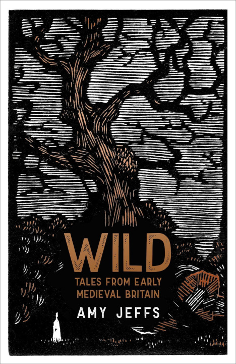 Książka Wild Amy Jeffs