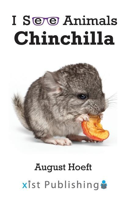Könyv Chinchilla 