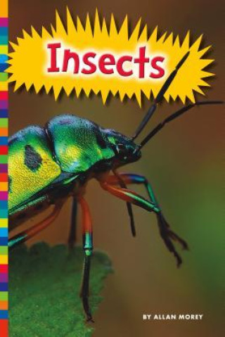 Knjiga Insects 