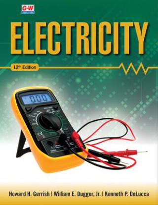 Knjiga Electricity William E. Dugger Jr