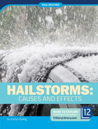 Knjiga Hailstorms: Causes and Effects 