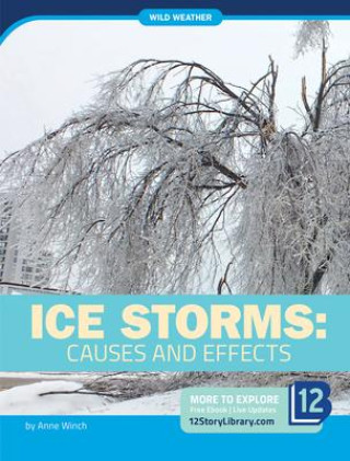 Knjiga Ice Storms: Causes and Effects 
