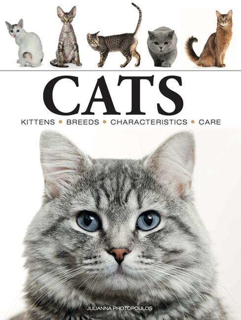 Book Cats Photopoulos