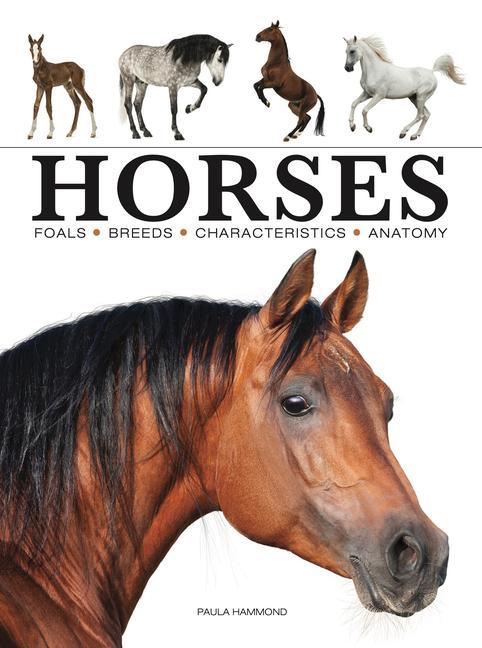 Book Horses Hammond