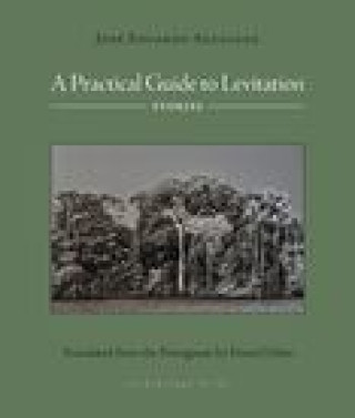 Kniha A Practical Guide to Levitation: Stories Daniel Hahn