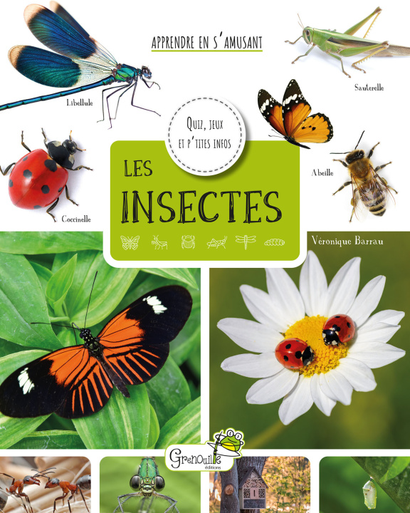 Kniha Les insectes Barrau