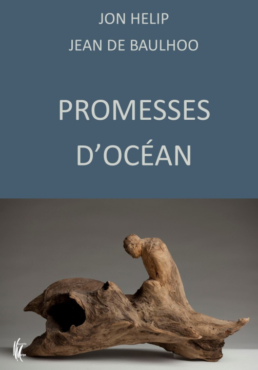 Buch Promesses d'Océan BAULHOO