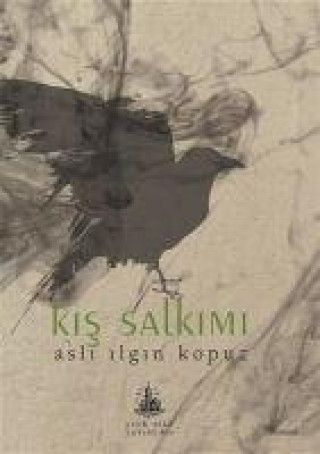 Knjiga Kis Salkimi 