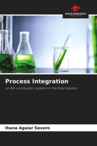 Knjiga Process Integration Ihana Aguiar Severo
