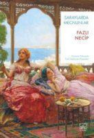 Knjiga Saraylarda Mecnunlar 