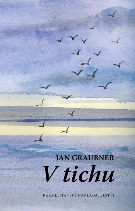 Buch V tichu Jan Graubner