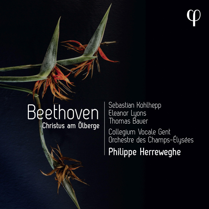 Audio Christus am Ölberge Philippe Herreweghe