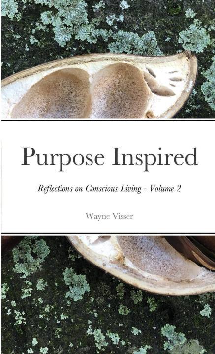 Book Purpose Inspired Wayne Visser