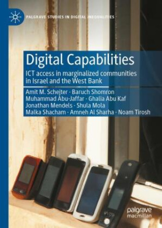 Book Digital Capabilities Amit Schejter