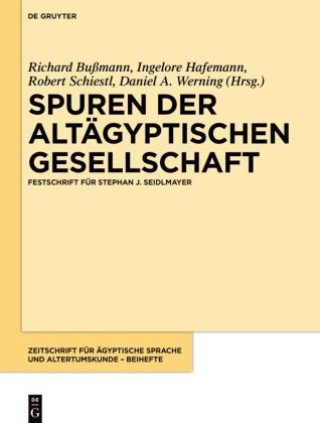 Kniha Spuren der altägyptischen Gesellschaft Richard Bußmann