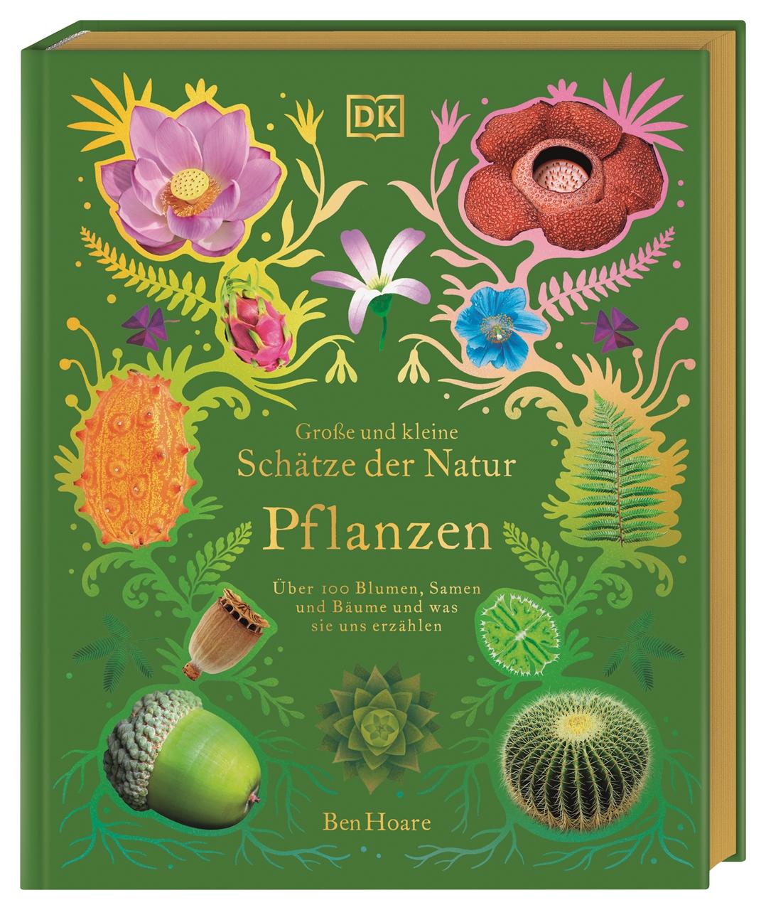 Buch Große und kleine Schätze der Natur. Pflanzen Eva