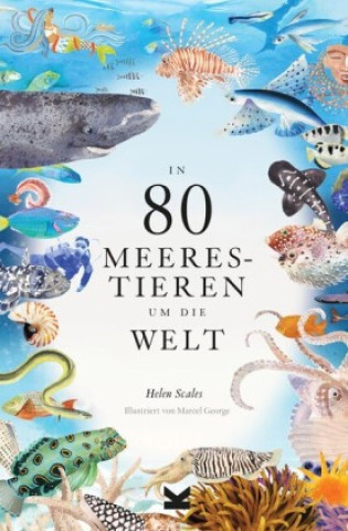 Carte In 80 Meerestieren um die Welt Helen Scales