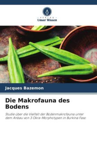 Knjiga Die Makrofauna des Bodens Jacques BAZEMON