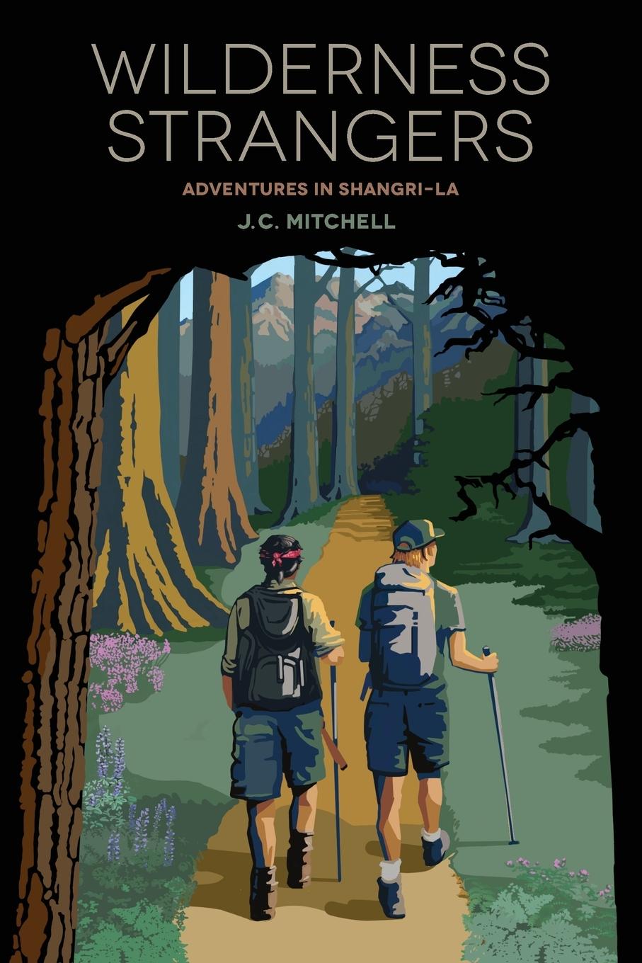 Knjiga Wilderness Strangers J.C. Mitchell